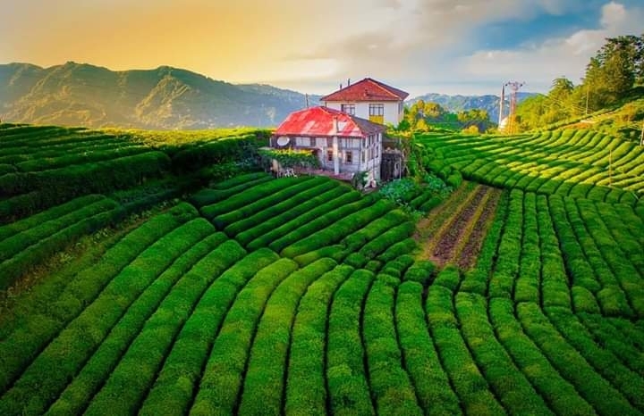 Rize Türkiye