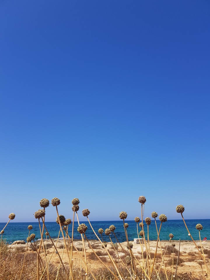 Sea