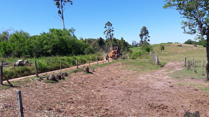 São Lourenço do Sul RS