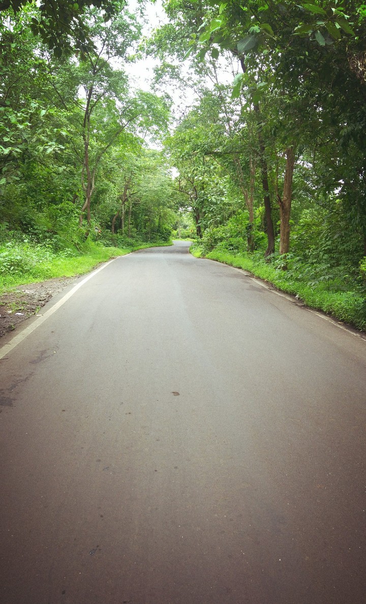 Nature