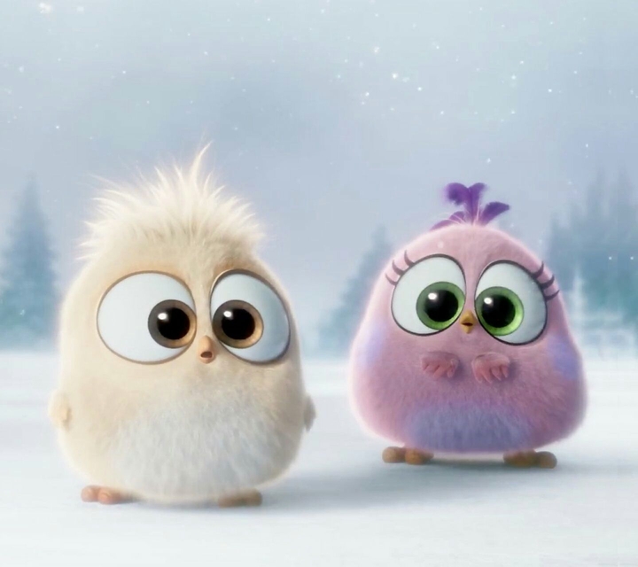 Can't you feel the cuteness?