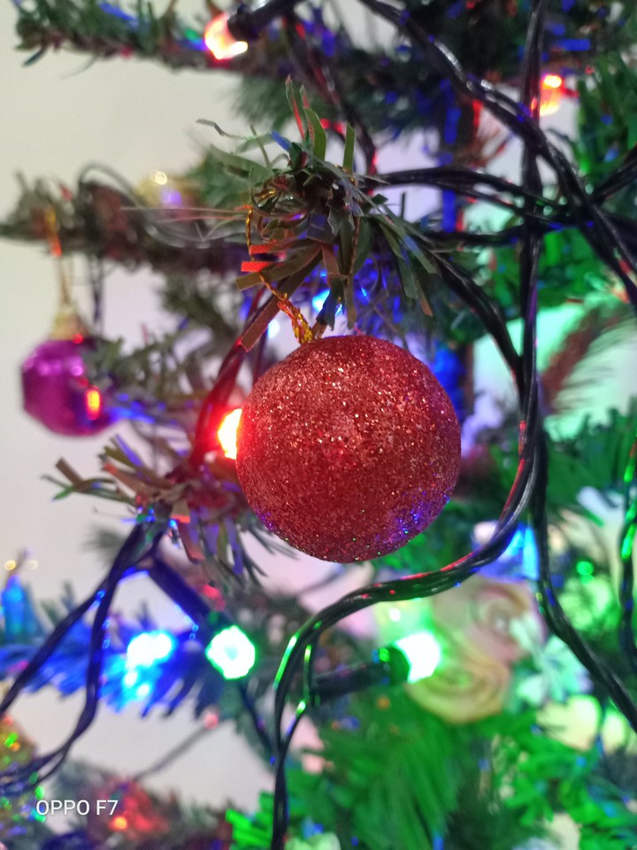 Merry Christmas