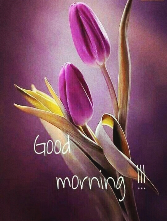 to my frends