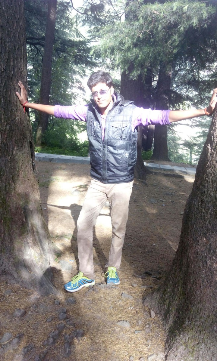Connecting trees...