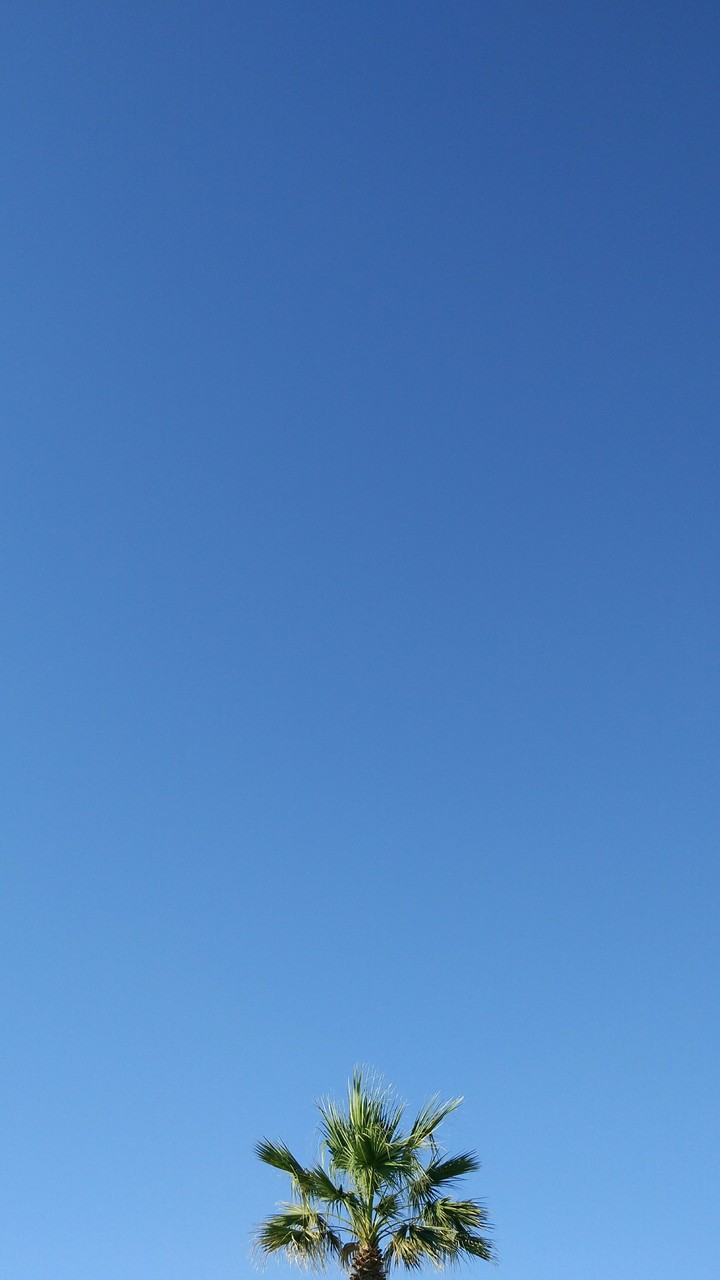 Green in to the blue