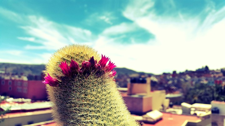 naturaleza