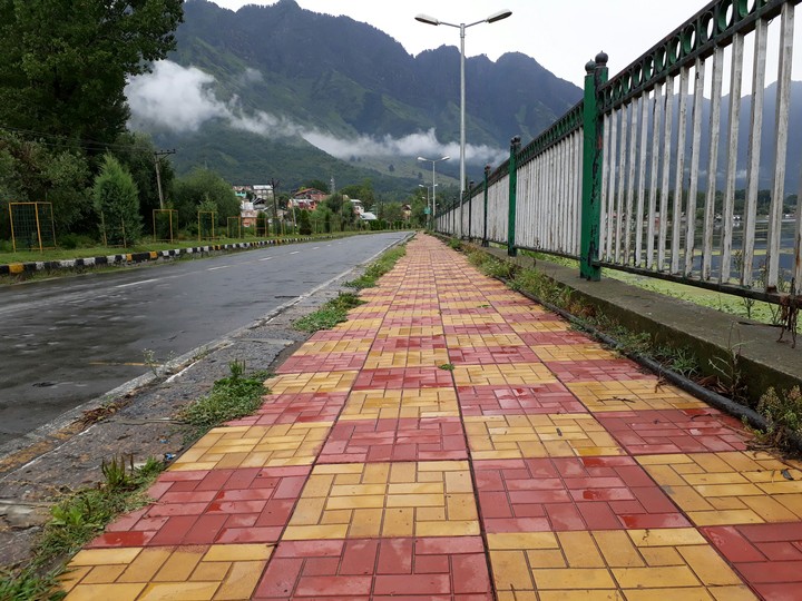 Foreshore road
