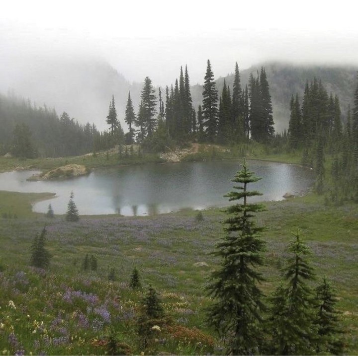 Lake