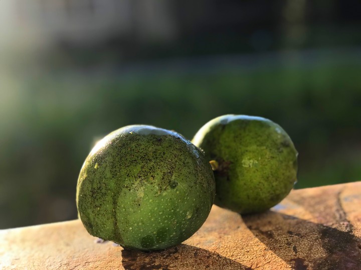 mango
