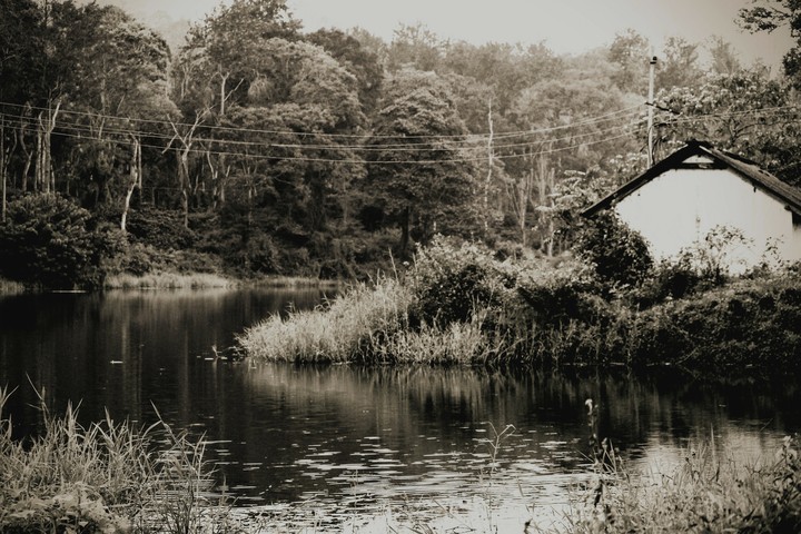 Lost