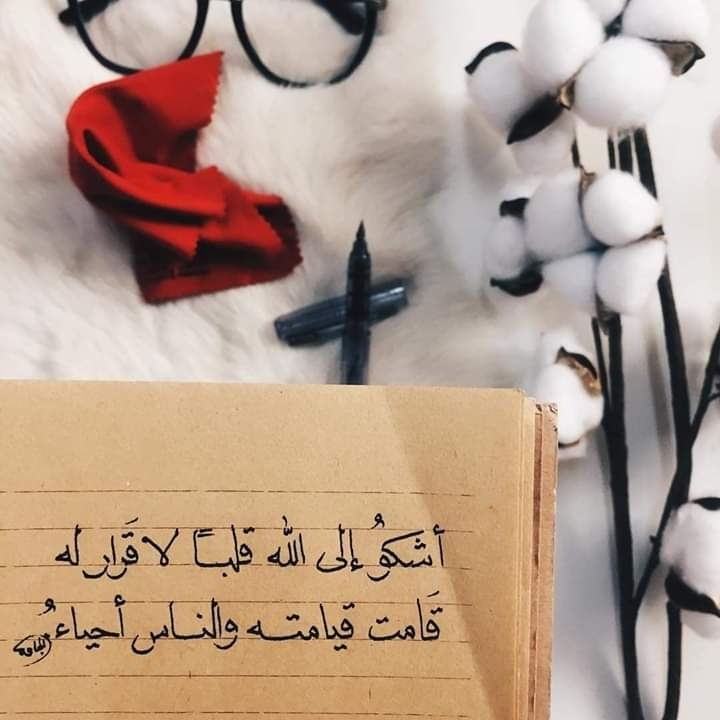 اقتباسات
