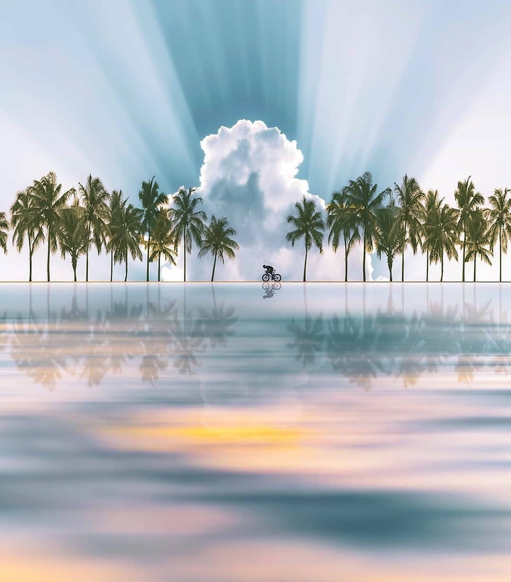 Rays