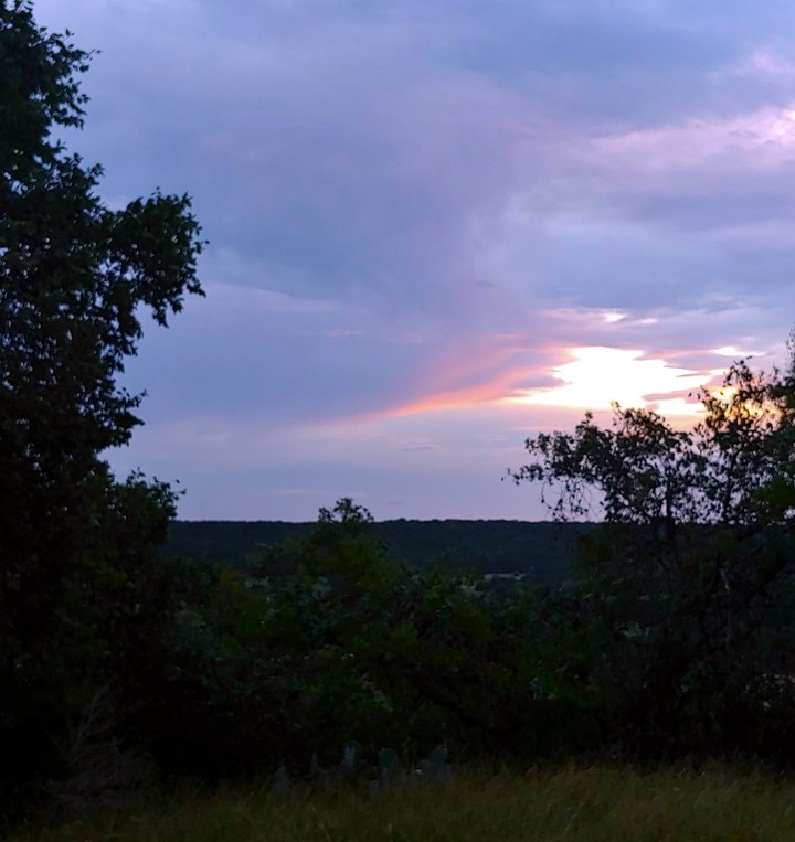 Late Summer View