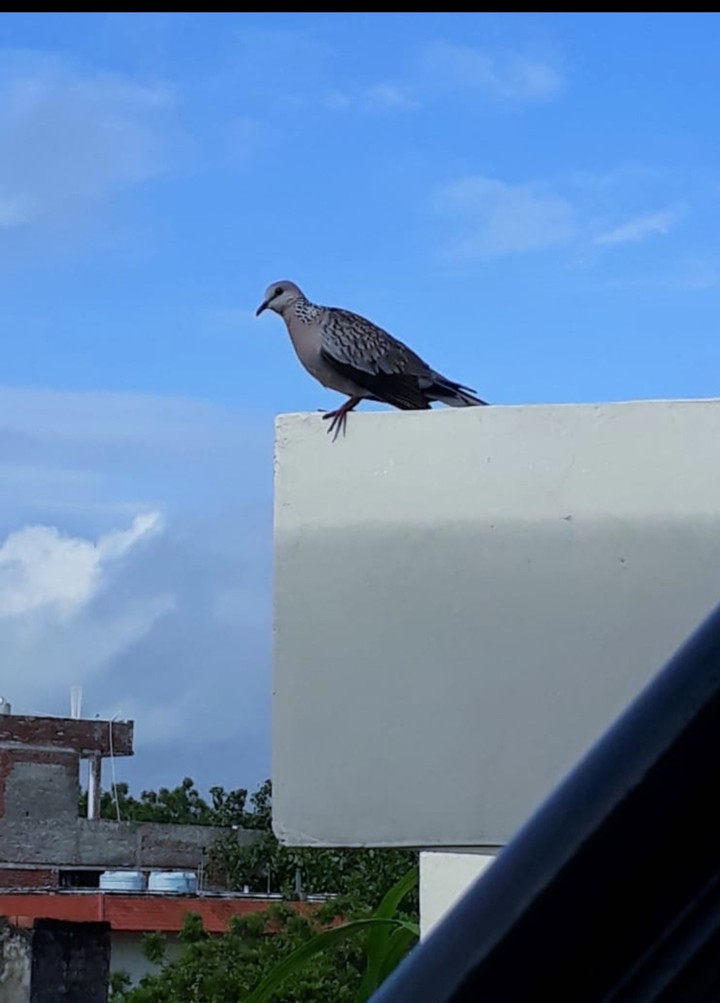 ?