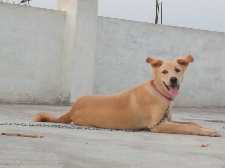 cute boy.....