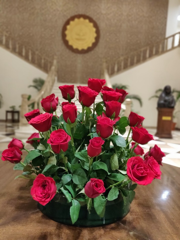 rose