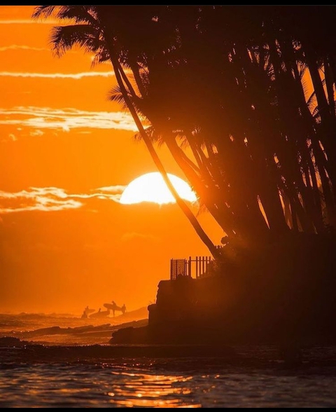SUNSET VIEW