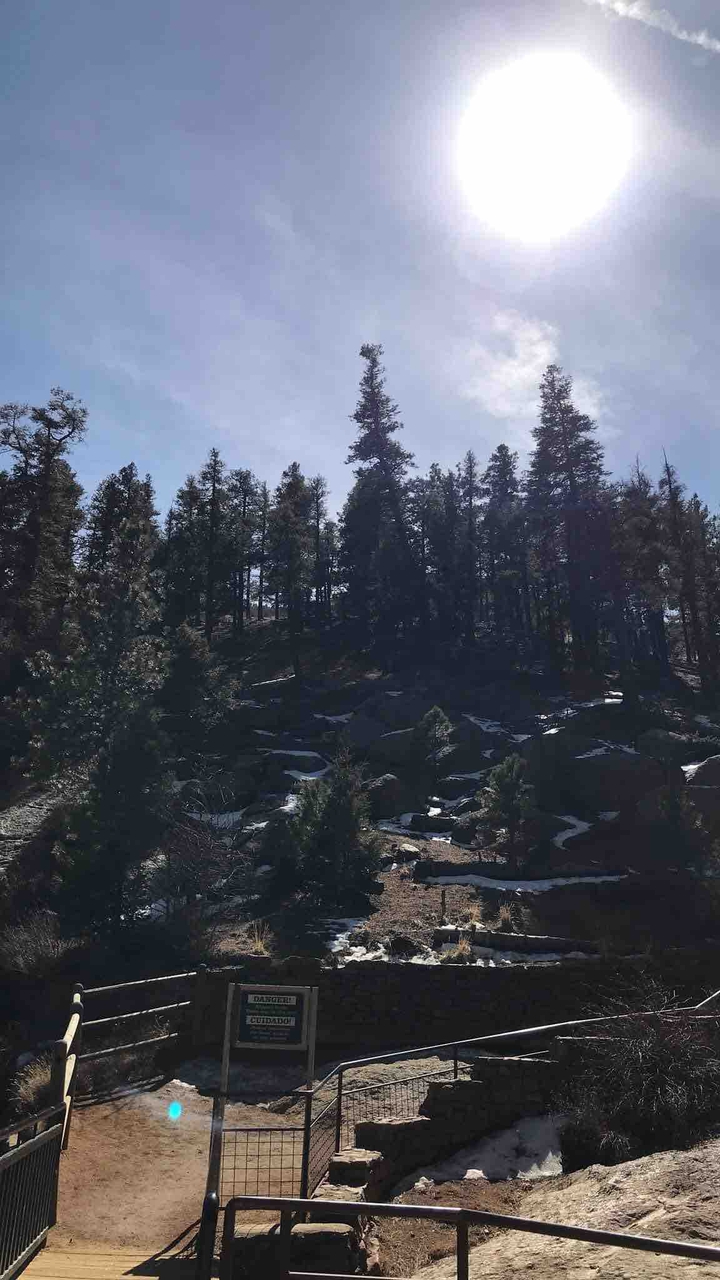 Colorado Tress