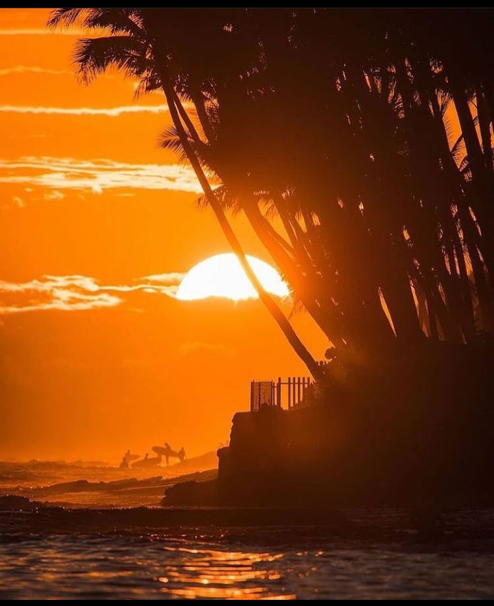 SUNSET VIEW