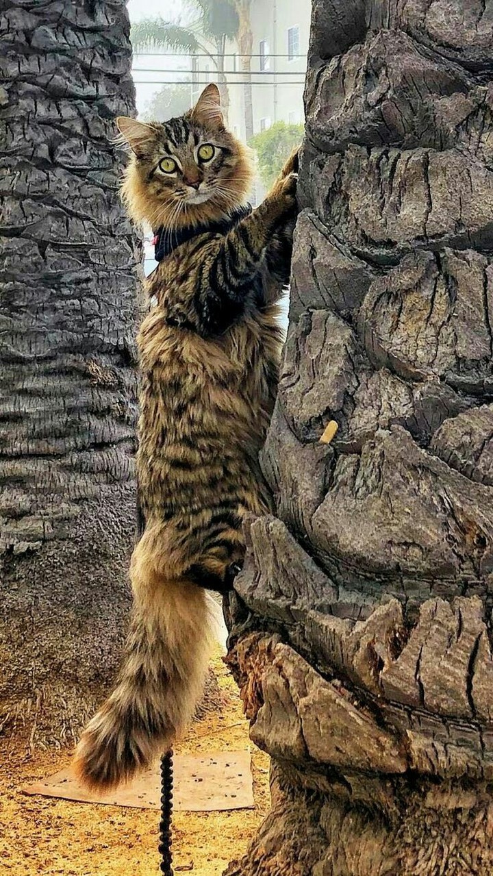 ❤❤❤