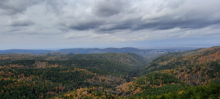 Осенний лес