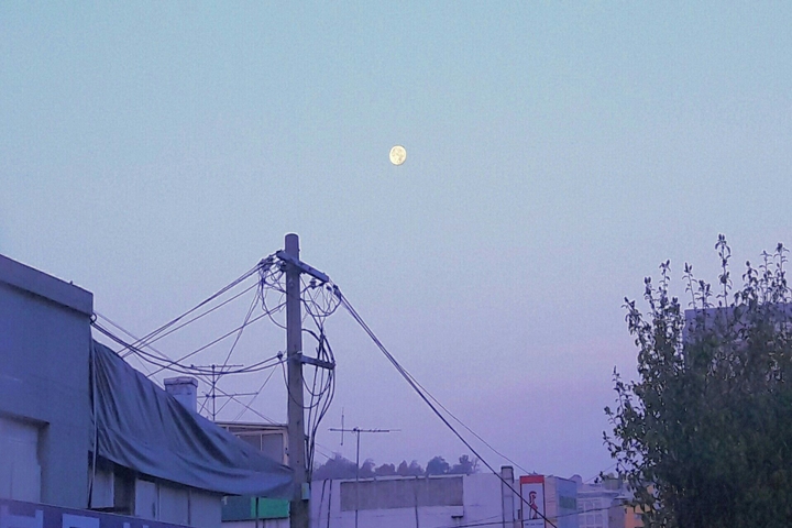 Moon