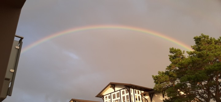 Regenbogen