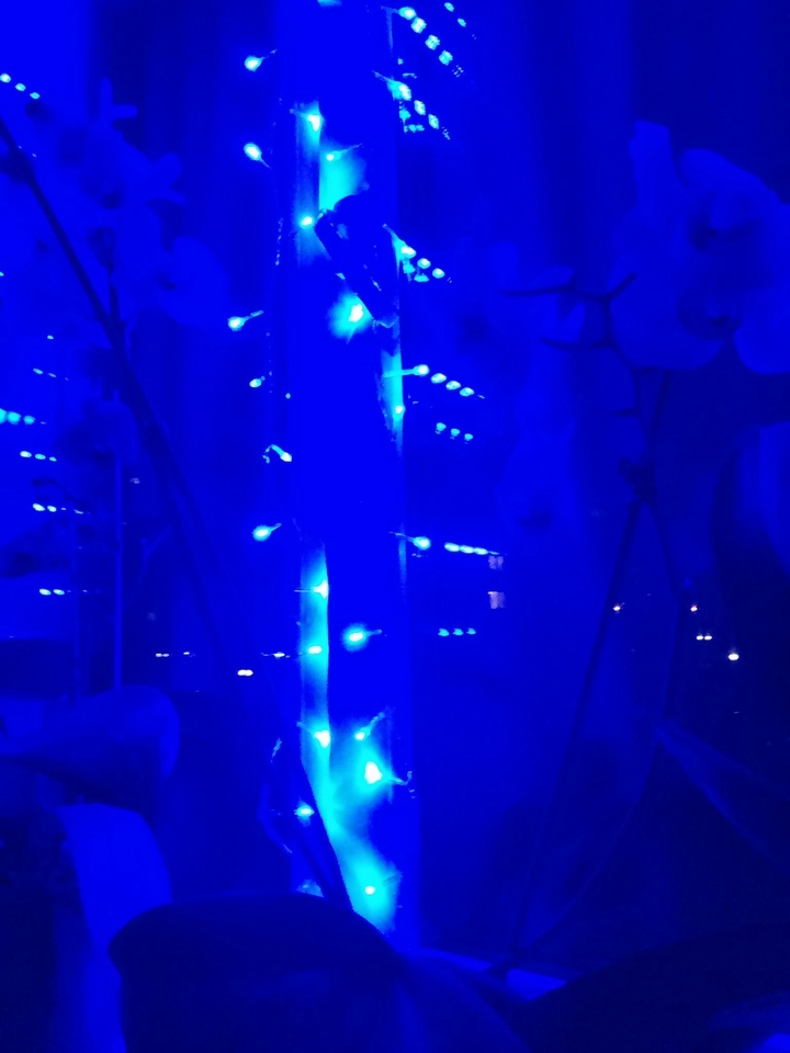 магія 2