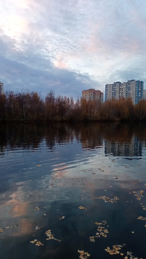 Без названия