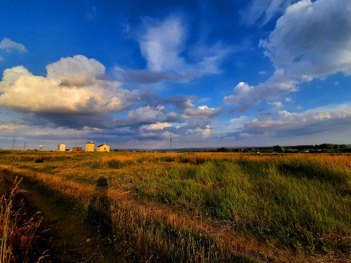 field