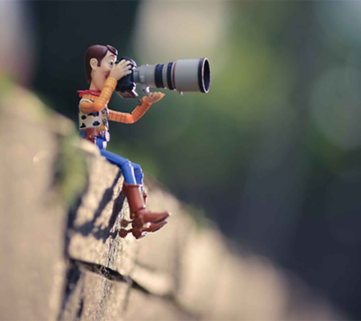 TOY STORY