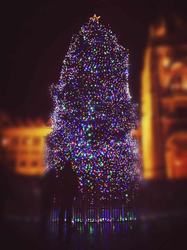 Christmas Tree
