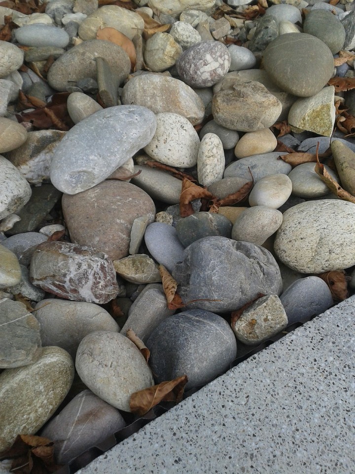 natur
