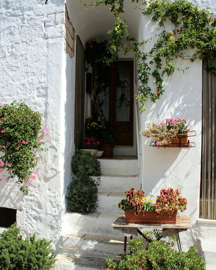 flowers