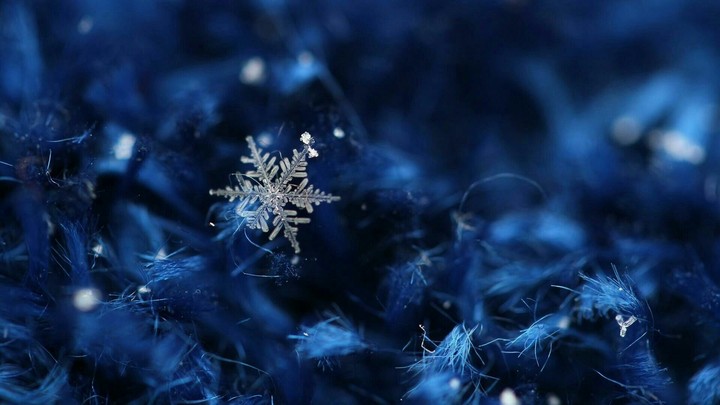 Snow