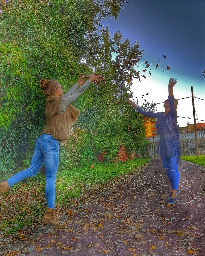 autumn frunze toamna leaves sky