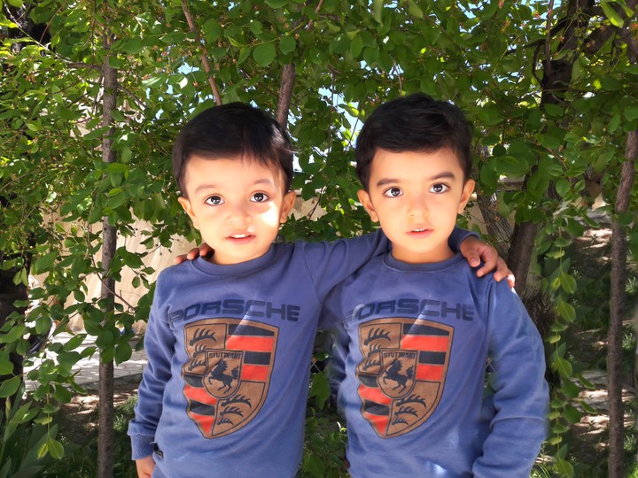 Twins