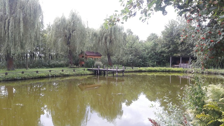 lake