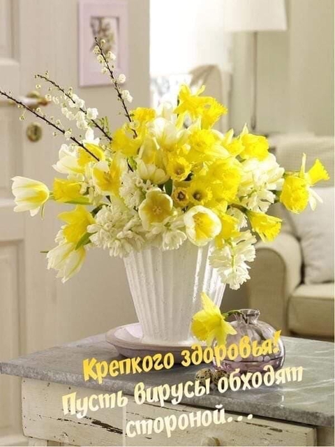 БЧОЛКИ???