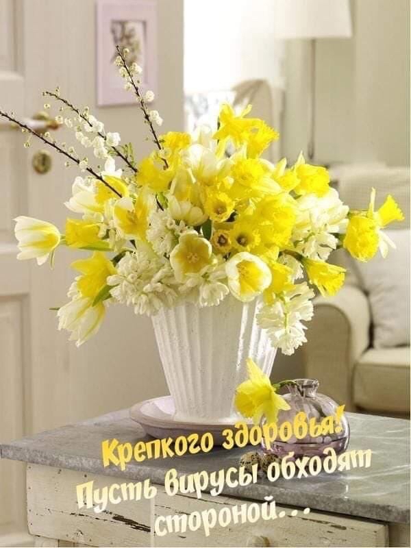 БЧОЛКИ???