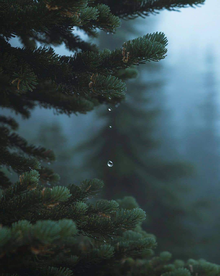 ✨