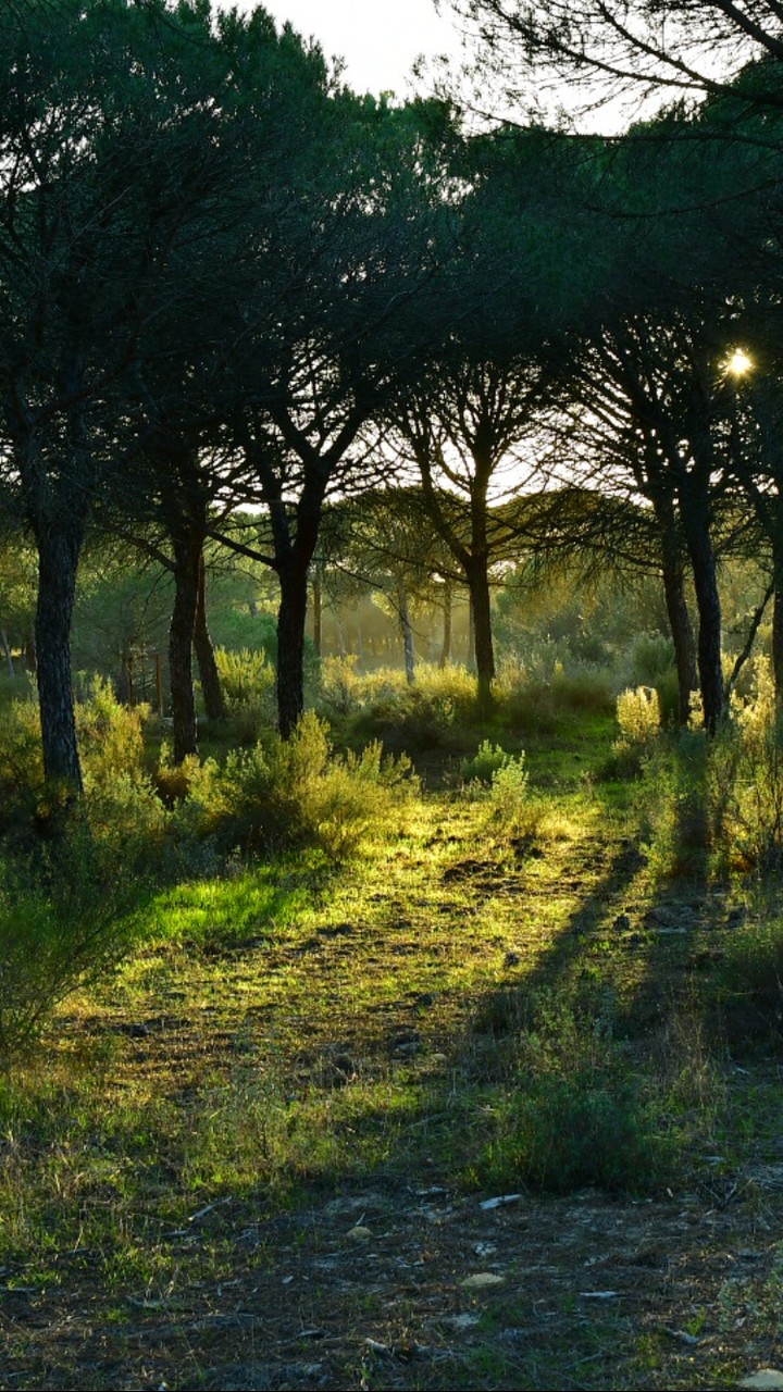 paisaje