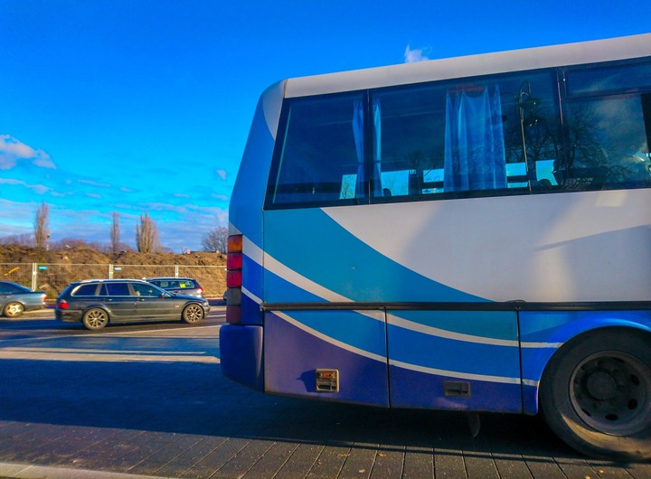 Bus lover