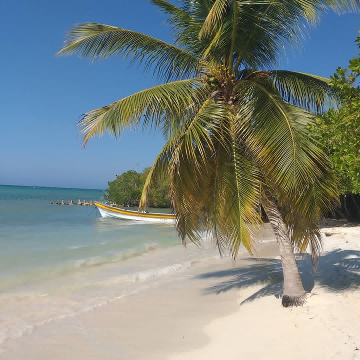 Sunny beach