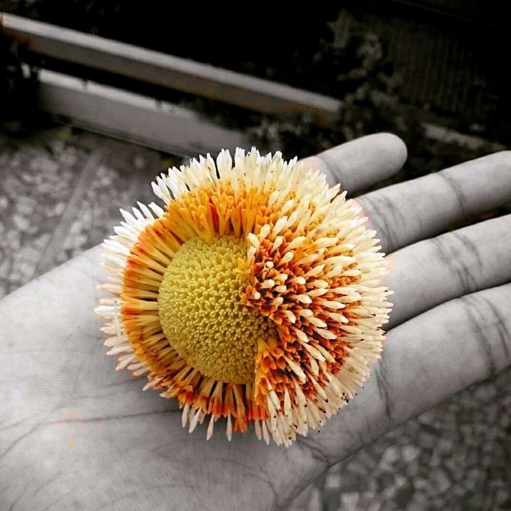 ?