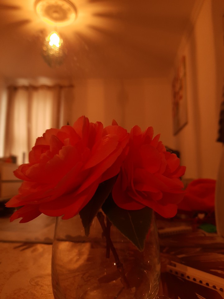 rosse
