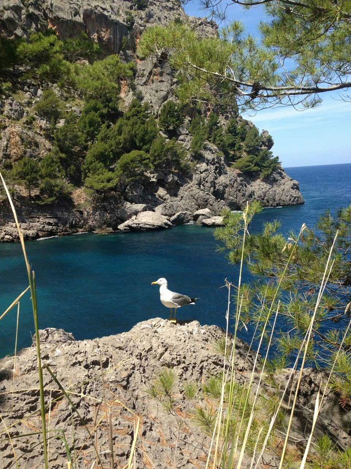 seascape