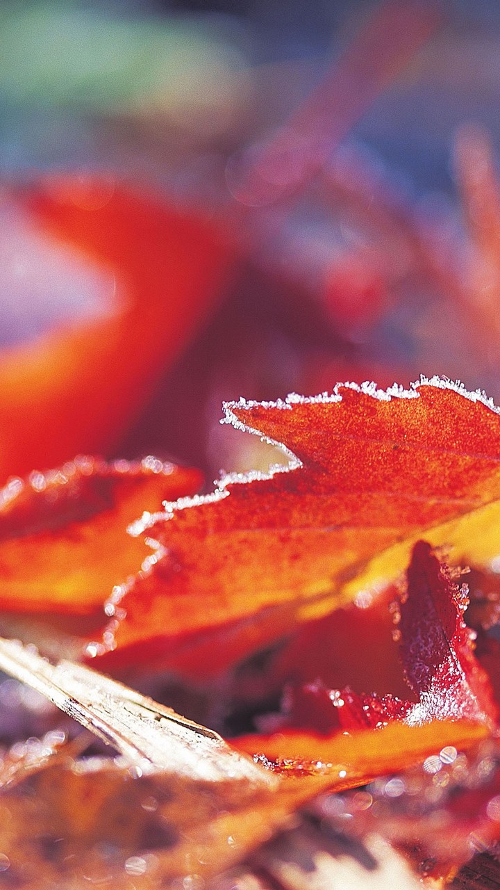fall