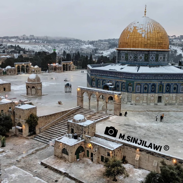 Free Palestine