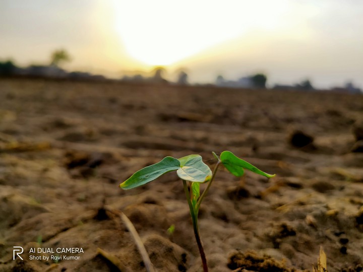 Macro Click